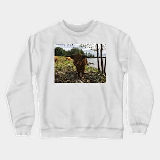 Scottish Highland Cattle Bulls 2035 Crewneck Sweatshirt